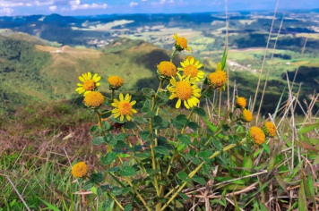 Foto - Praças, Parques e Monumentos