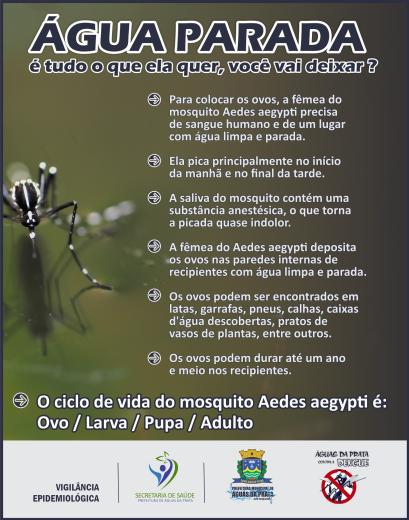 CHUVAS ACENDEM ALERTA SOBRE O COMBATE AO MOSQUITO DA DENGUE
