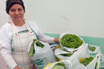 HORTA MUNICIPAL PRODUZ ALIMENTOS PARA ASILO E MUTIRÃO SOCIAL EM ÁGUAS DA PRATA