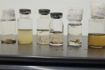 AGENTES COMUNITÁRIOS CONCLUEM BLOQUEIOS E ENCONTRAM MUITOS CRIADOUROS NA CIDADE