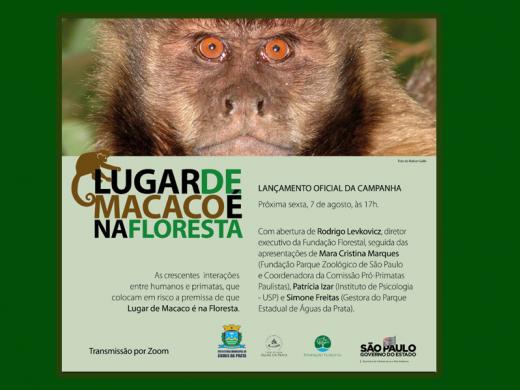 LUGAR DE MACACO É NA FLORESTA: CAMPANHA TEM LANÇAMENTO OFICIAL DIA 07