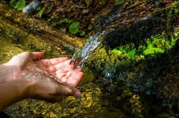 PREFEITURA ABRE CADASTRO PARA RECUPERAÇÃO DE NASCENTES EM TODO O MUNICÍPIO