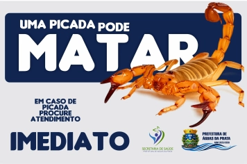 CUIDADO: ESCORPIÕES ESTÃO MAIS ATIVOS EM PERÍODOS QUENTES E COM CHUVAS