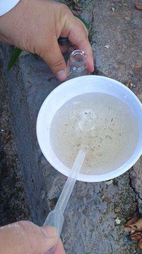 MUTIRÃO DA DENGUE SEGUE RECOLHENDO CRIADOUROS EM ÁGUAS DA PRATA