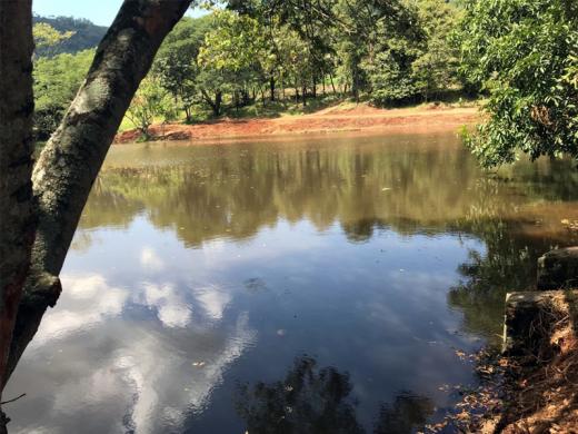 LAGO VILELA JÁ ESTÁ LIVRE DAS “PAPUDINHAS” E PARECE TER RENASCIDO