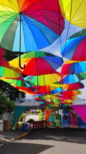 “FOLIA EM FAMÍLIA”: HOJE A FESTA COMEÇA COM MATINÊ AS 16h00