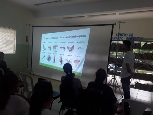 “MEIO AMBIENTE” PROMOVE CONSCIENTIZAÇÃO SOBRE RESÍDUOS SÓLIDOS