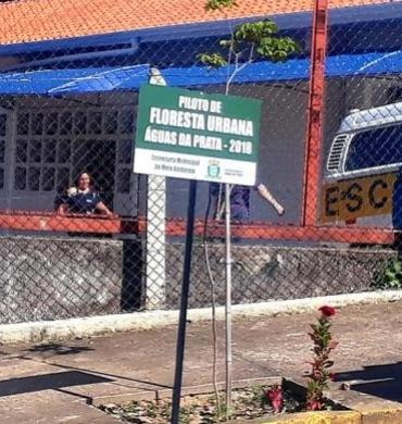 Águas da Prata Implanta Segundo Piloto de Floresta Urbana