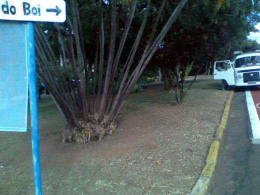 GENTE QUE FAZ... MORADOR AJUDA A CUIDAR DA LIMPEZA DAS PRAÇAS DA CIDADE
