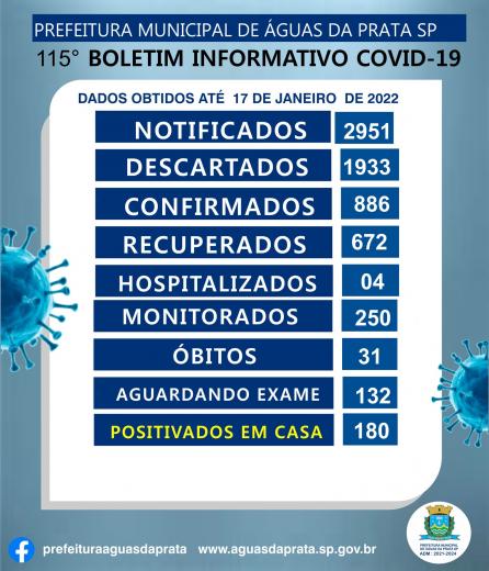 115 BOLETIM COVID-19