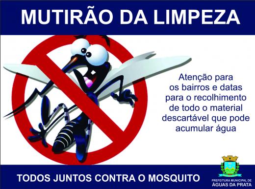 PREFEITURA FAZ MUTIRÃO PARA A RETIRADA DE CRIADOUROS DE MOSQUITO