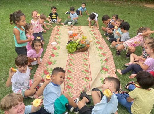 PROJETO SICRED: “CESTA DE DONA MARICOTA” ESTIMULA OS SENTIDOS E PROMOVE EDUCAÇÃO LÚDICA NA CRECHE
