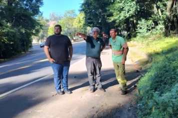 DEFESA CIVIL PROMOVE PODA PREVENTIVA DE ÁRVORES NO PARQUE ESTADUAL