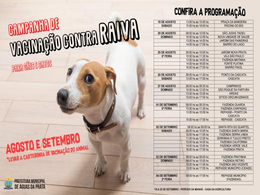 CAMPANHA DE VACINAÇÃO PARA CÃES E GATOS COMEÇA DIA 19