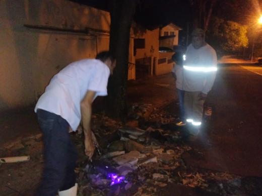 PREFEITURA INTENSIFICA TRABALHO DE COMBATE Á ESCORPIÕES NA CIDADE