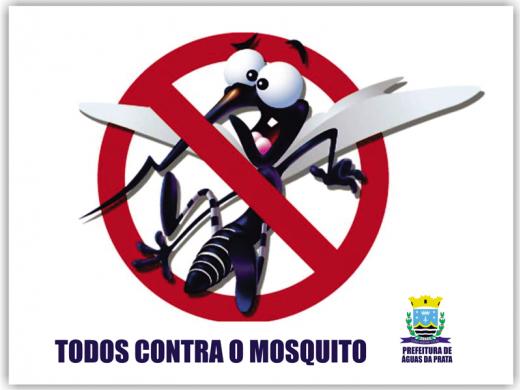 CAMPANHA DE COMBATE AO AEDES AEGYPTI VAI SER INTENSIFICADA NA CIDADE