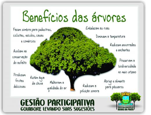 MEIO AMBIENTE PROMOVE GESTÃO PARTICIPATIVA NO MARCO DIVISÓRIO