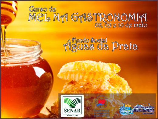 FUNDO SOCIAL OFERECE CURSO SOBRE UTILIZAÇÃO DO MEL NA GASTRONOMIA