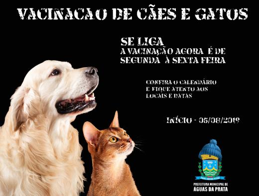 VEM AÍ A CAMPANHA DE VACINAÇÃO ANTI RÁBICA PRA CÃES E GATOS