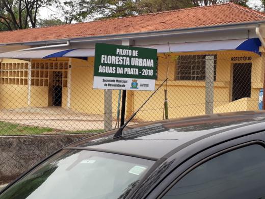 PILOTO DE FLORESTA URBANA COMPLETA UM ANO EM ÁGUAS DA PRATA