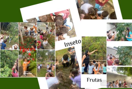 PROJETO SICRED DESPERTA CURIOSIDADE E IMAGINAÇÃO DE CRIANÇAS DA CRECHE ESCOLA