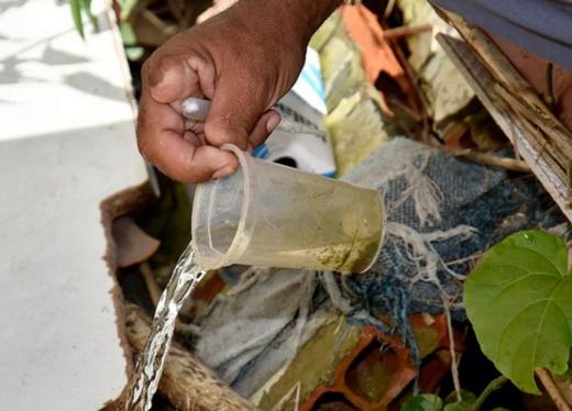 RESIDÊNCIAS E COMÉRCIO LOCAL ESTÃO REPLETOS DE CRIADOUROS