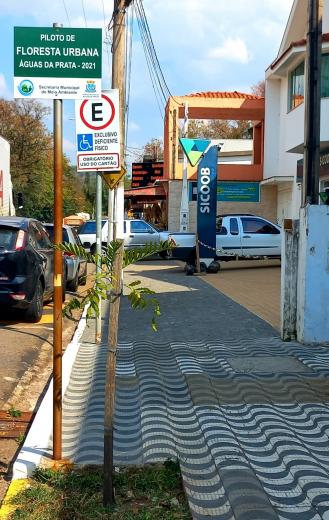 “ESPAÇO ÁRVORE” ESTÁ IMPLANTADO NA CIDADE DESDE 2017