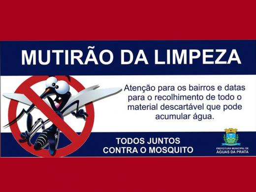 MUTIRÃO CONTINUA RECOLHENDO CRIADOUROS DO MOSQUITO