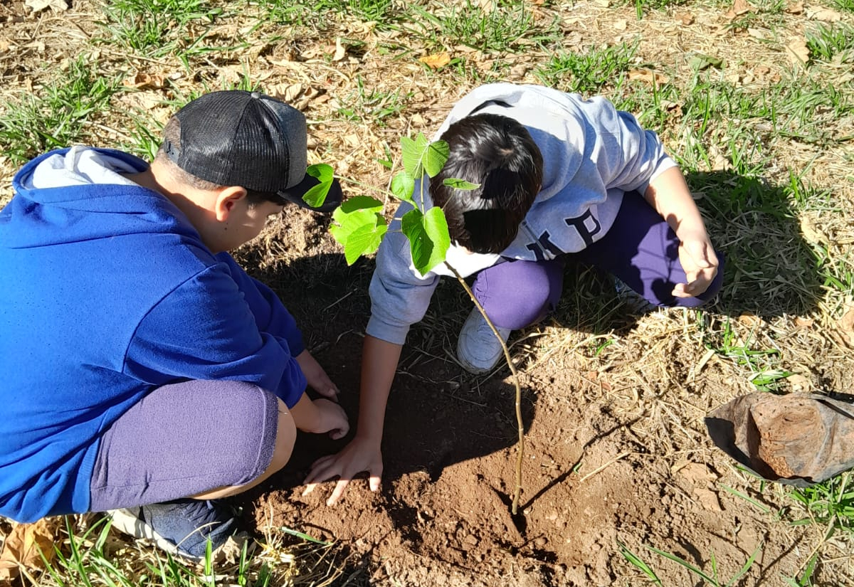 DIA DA ÁRVORE É CELEBRADO POR ALUNOS DO ÁUREA SOARES COM PLANTIO DE MUDAS NA FAZENDA TAJÁ