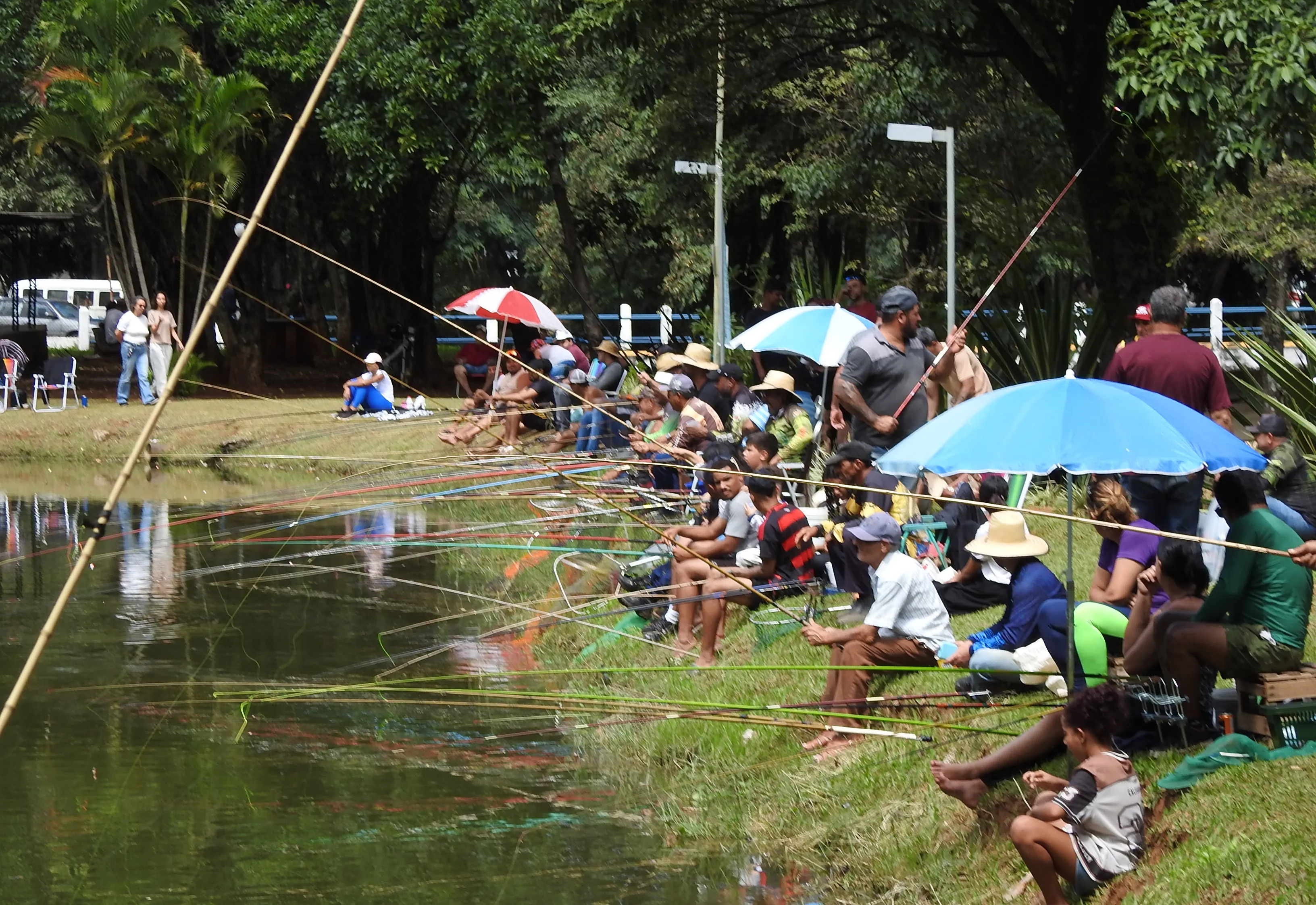 FIM DE SEMANA DE PESCA GRATUITA EM ÁGUAS DA PRATA REÚNE MULTIDÃO AO REDOR DO LAGO NO BOULEVARD