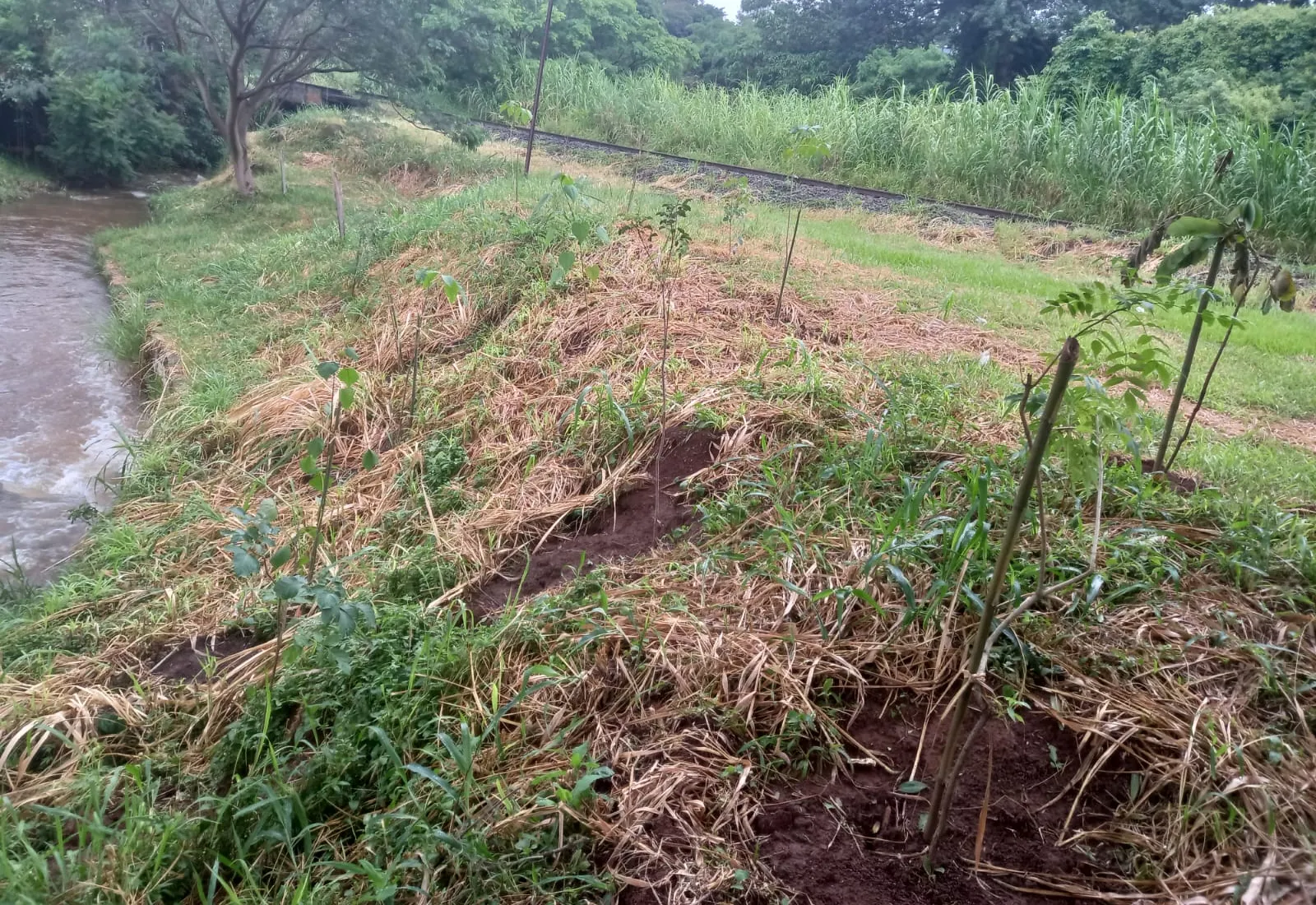 ÁGUAS DA PRATA É DESTAQUE ENTRE OS MUNICÍPIOS QUE PROMOVEM BENEFÍCIOS AMBIENTAIS EM TODA A REGIÃO