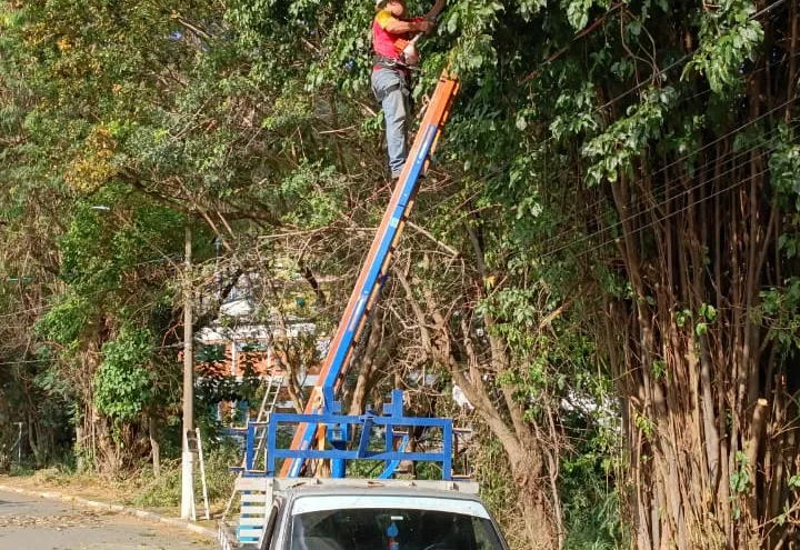 PREFEITURA REALIZA PODAS PREVENTIVAS EM ÁREAS PRÓXIMAS AO PARQUE ESTADUAL E ÁREAS URBANAS