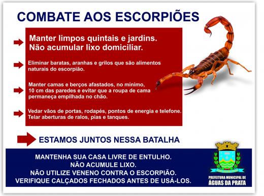 PREFEITURA “FORÇA TAREFA” PARA COMBATE AOS ESCORPIÕES NA CIDADE
