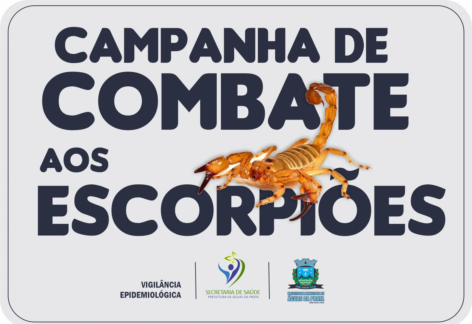 ALERTA COM ESCORPIÕES DEVE SER REDOBRADO NESTE PERÍODO