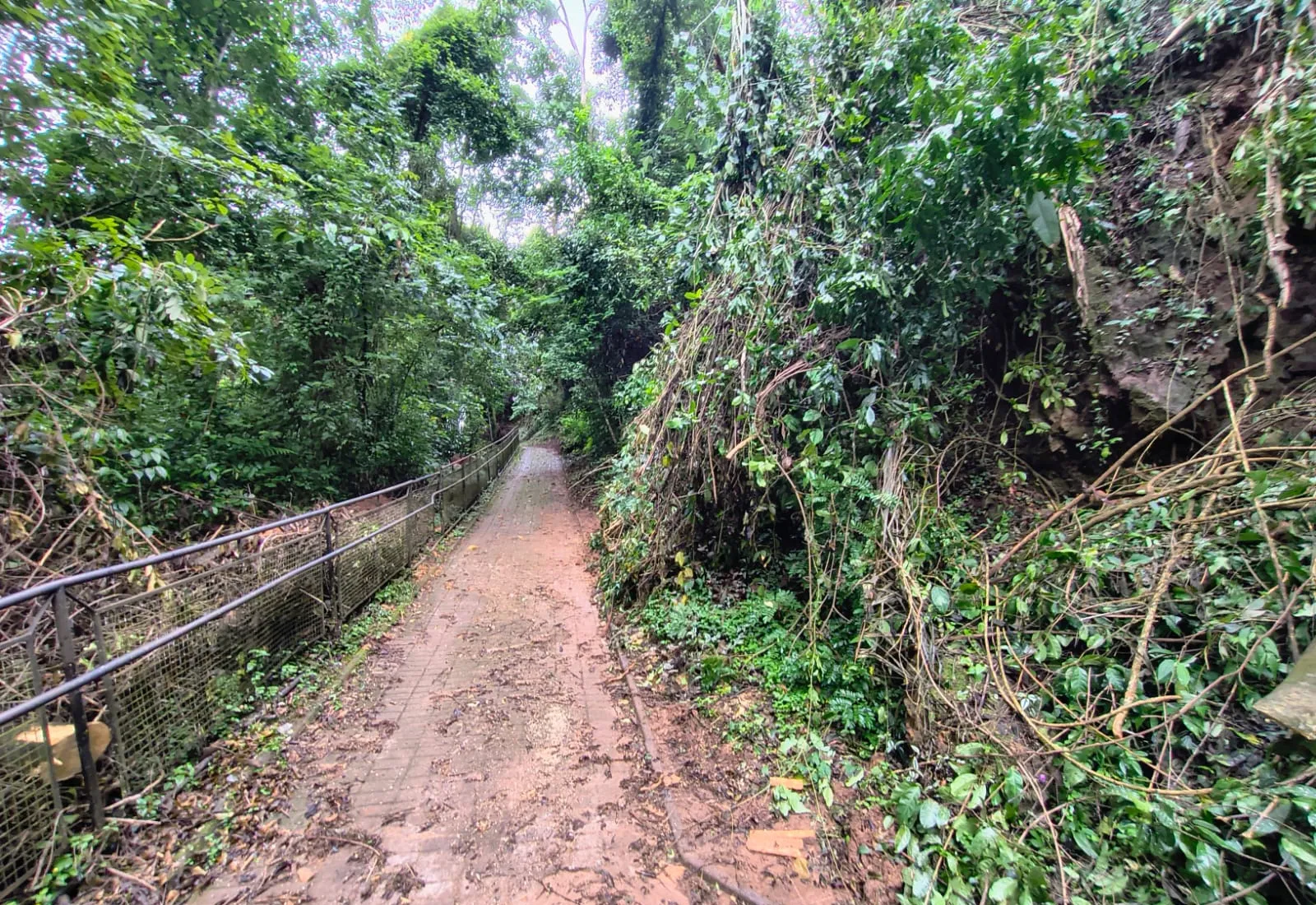 ACESSO À CACHOEIRA DA CASCATINHA JÁ ESTÁ LIBERADO