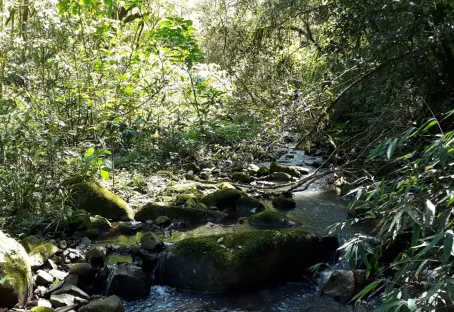 ATENÇÃO PROPRIETÁRIOS RURAIS: ABERTA A CONSULTA PARA A CRIAÇÃO DE RPPN