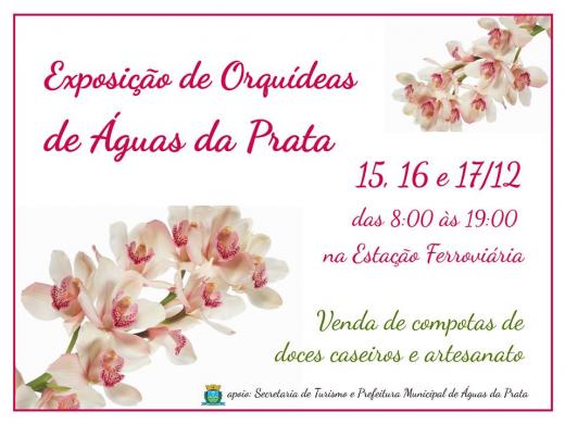 EXPOSIÇÃO DE ORQUÍDEAS VAI TER VENDA DE DOCES CASEIROS